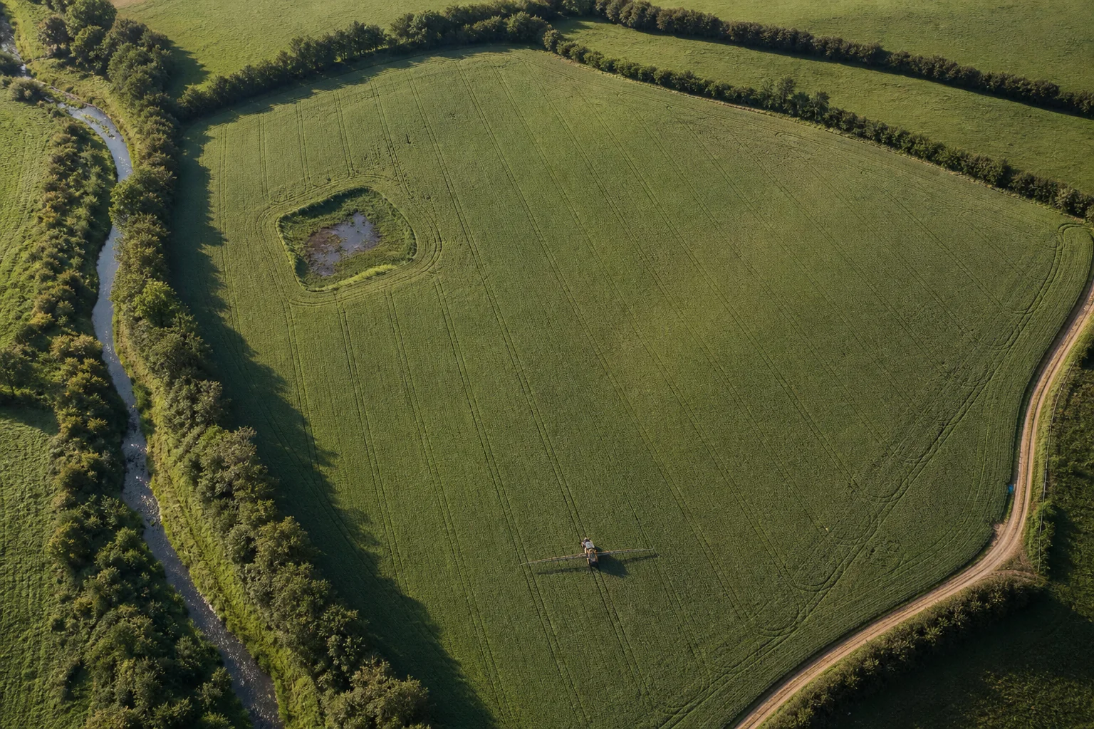 Aerial view of an irregular crop field with parallel sprayer tramlines, a creek-side vegetated buffer and an excluded wet area